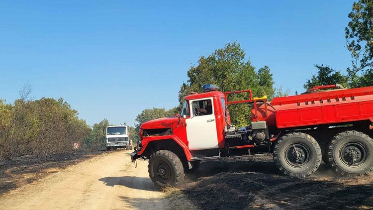11 екипа огнеборци на големия пожар край Шишманово