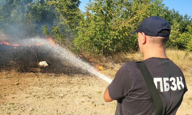 11 екипа огнеборци на големия пожар край Шишманово