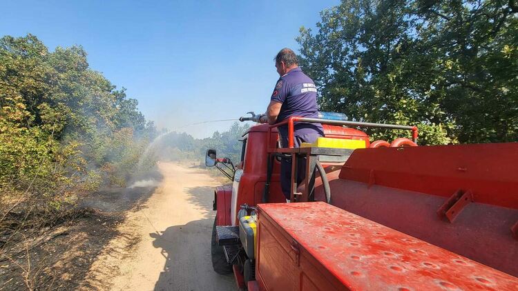 11 екипа огнеборци на големия пожар край Шишманово