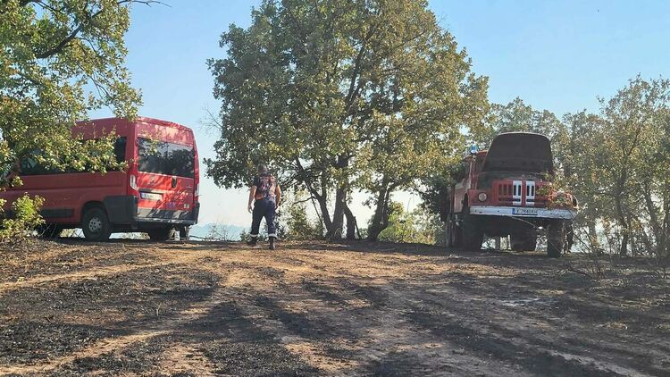 11 екипа огнеборци на големия пожар край Шишманово