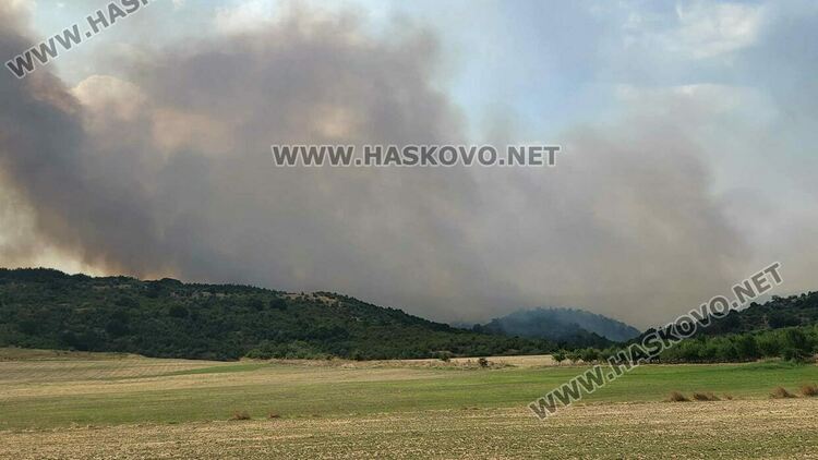 Пожар изпепели къща, дворове и постройки