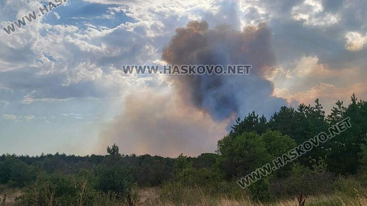 Пожар изпепели къща, дворове и постройки