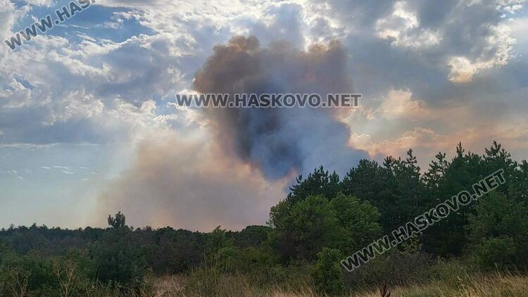 Пожар изпепели къща, дворове и постройки