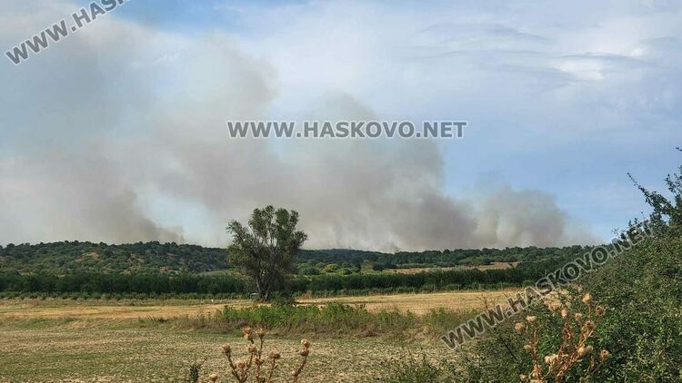 Пожар изпепели къща, дворове и постройки