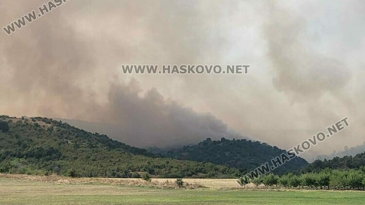 Пожар изпепели къща, дворове и постройки