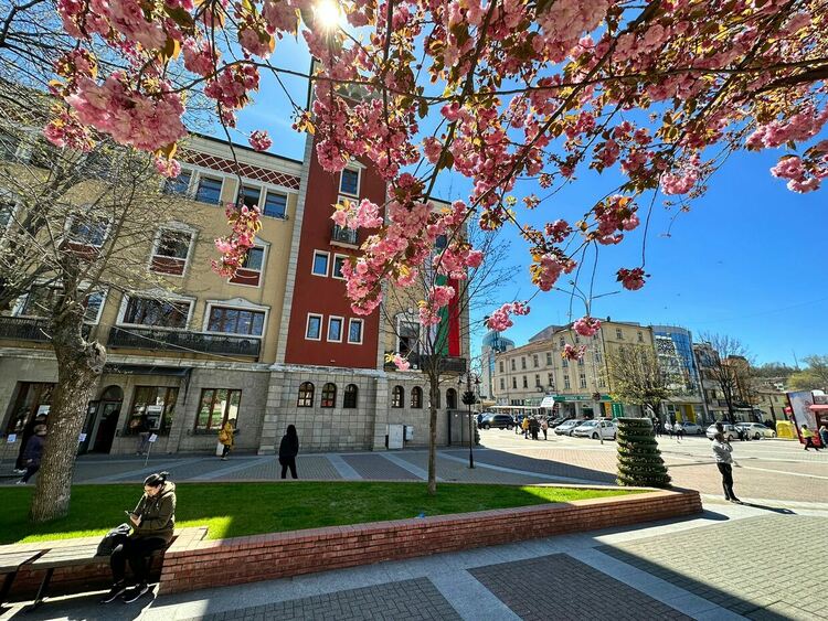 Бюджетът на Хасково за 2023 г. с ръст от 21%, канят граждани за обсъждане