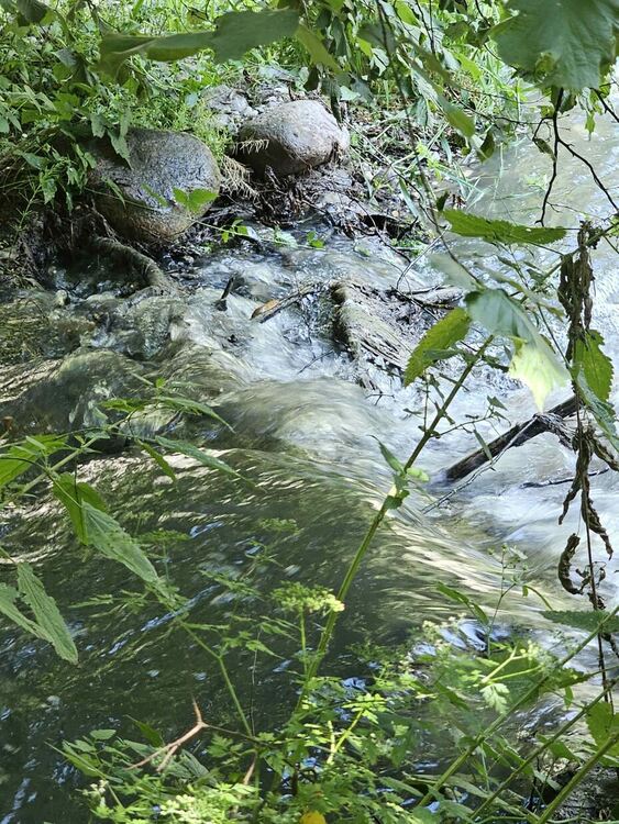 След своя проверка от "ВиК"-Смолян отричат да има изтичане от колектора. Каква е истината?