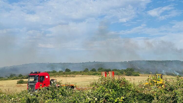 Пожарът до Младиново е овладян