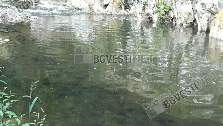 Глоба от 10 хиляди лева за "ВиК"-Смолян заради незаконно заустване на отпадни води от колектора в река Черна
