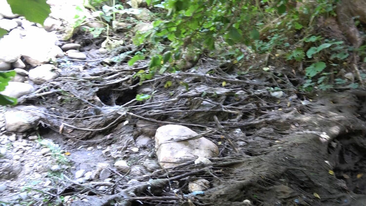 От 6 до 20 пъти превишение на нормите за замърсяване установи Басейнова дирекция в пробите от река Черна