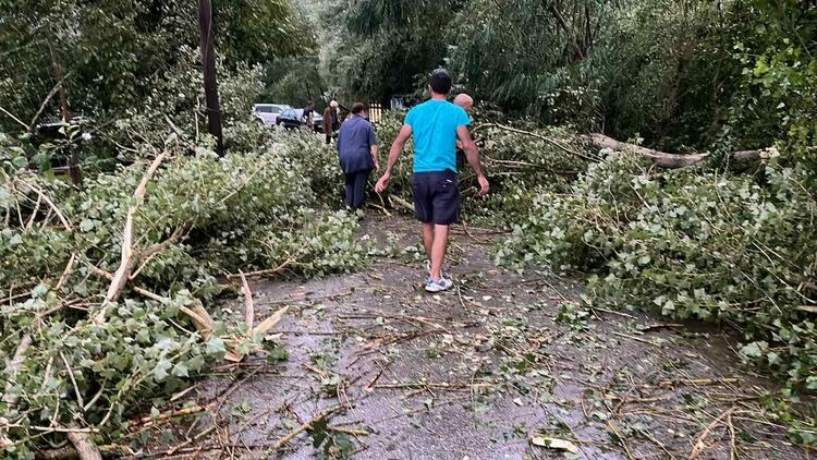 Силна лятна буря се разрази в Неделинско, щетите се отстраняват