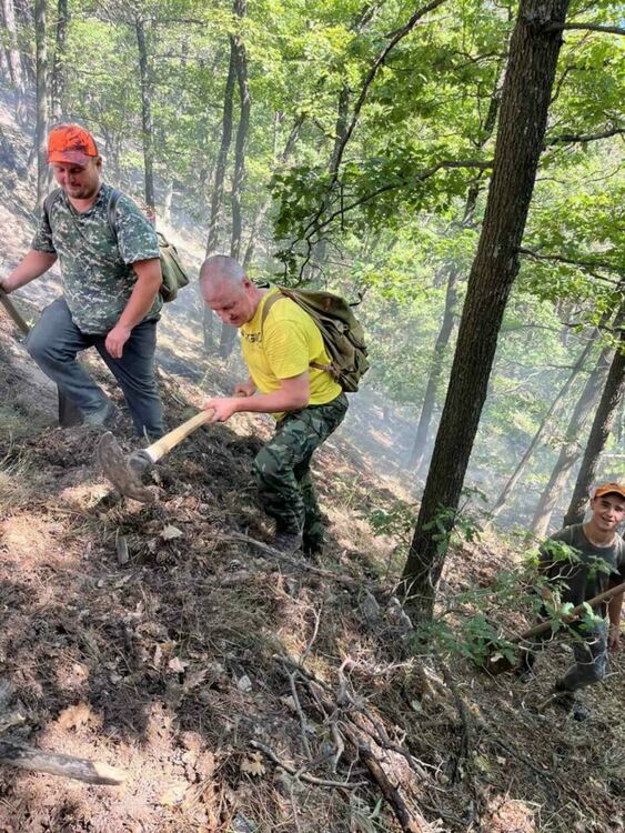 Двата пожара в Асеновградско са локализирани