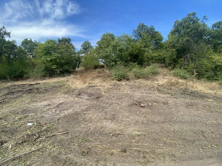 Започват разкопките на тракийската гробницата край с.Текето