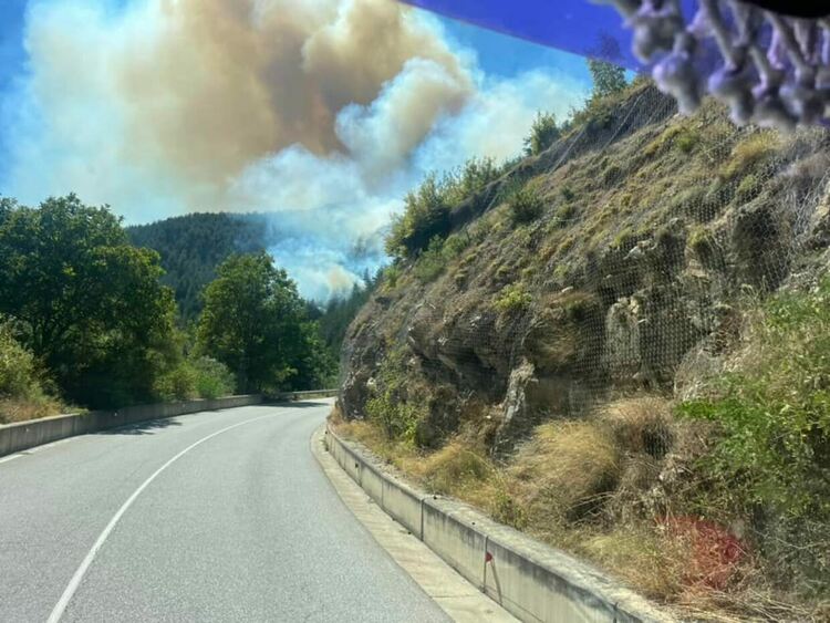 Продължава битката с огнения ад край Хвойна. Изгоряла е 500 дка гора