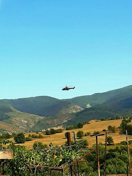 Продължава битката с огнения ад край Хвойна. Изгоряла е 500 дка гора