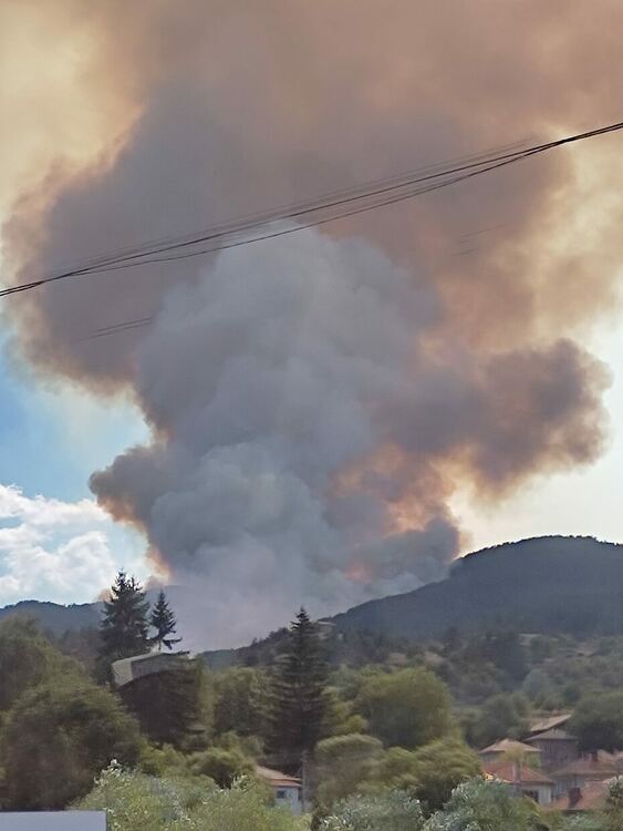 Продължава битката с огнения ад край Хвойна. Изгоряла е 500 дка гора