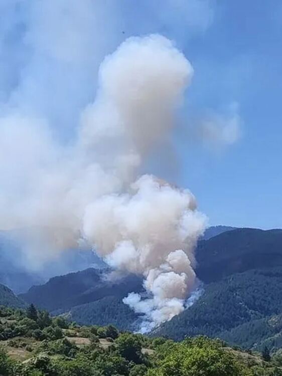 Гори гора край Хвойна! Към мястото лети хеликоптер 