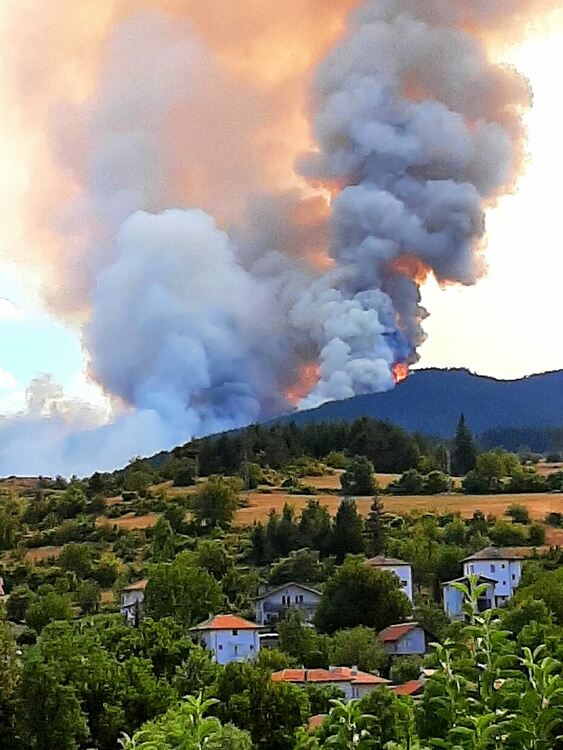 Гори гора край Хвойна! Към мястото лети хеликоптер 