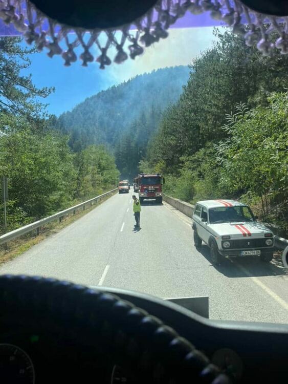 Продължава битката с огнения ад край Хвойна. Изгоряла е 500 дка гора