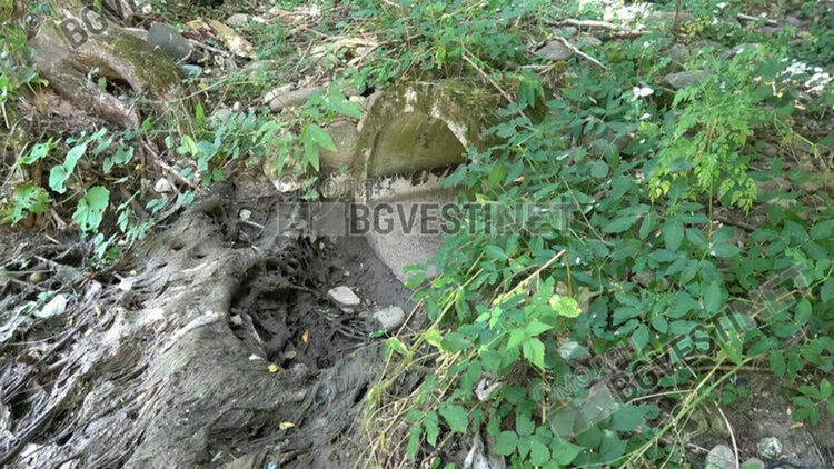 Екатерина Гаджева: От ВиК са инкасирали такса пречистване на смолянчани, а  отпадните води са се изливали в реката