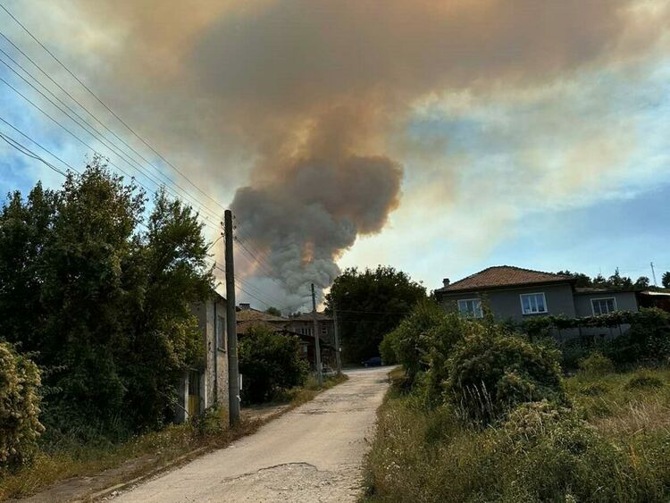 Пламъците изпепелиха 600 декара гора край Хвойна, пожарът вече е низов