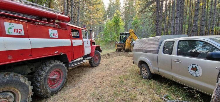 Пламъците изпепелиха 600 декара гора край Хвойна, пожарът вече е низов