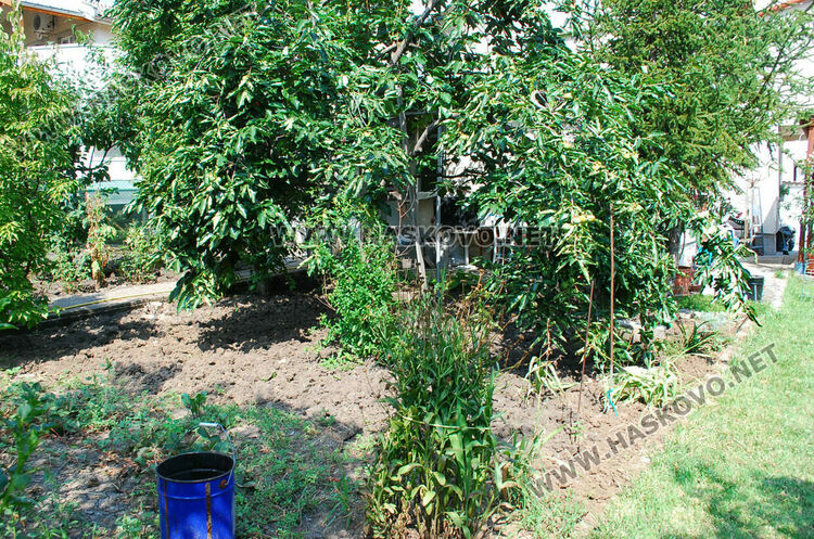 Дворът на Рефайдин