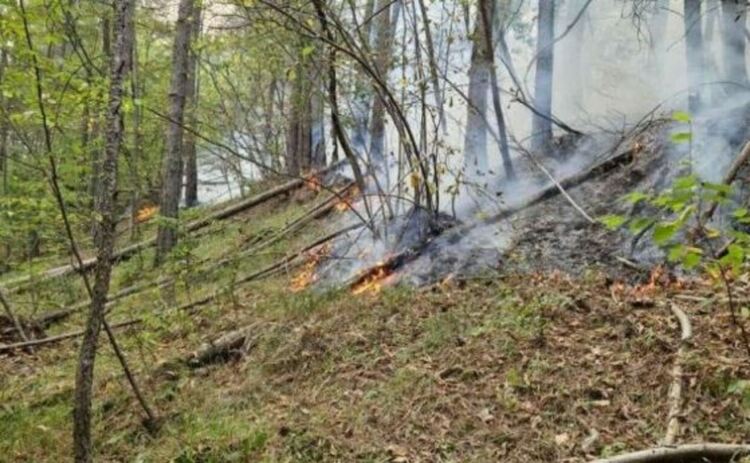 Все още горят огнища в пожара край Хвойна, екипите продължават битката с огъня