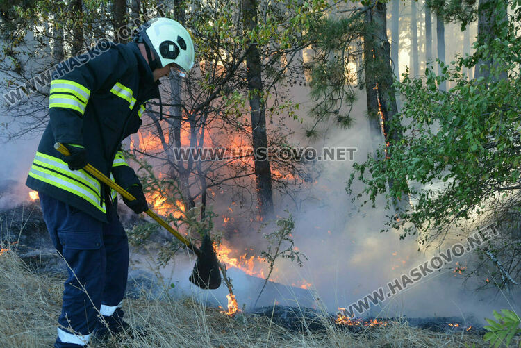 Бедствено положение в Свиленградско и Тополовградско заради пожарите