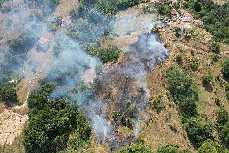 Пожарът в Ардинско