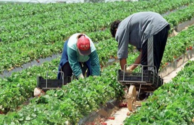 Снимката е илюстративна