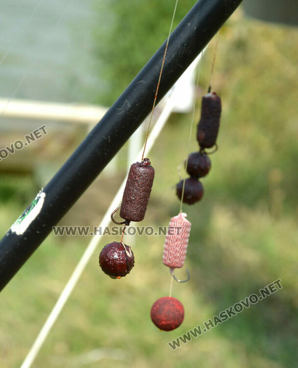  Шаранджии мерят сили на турнир по спортен риболов край с. Горски извор