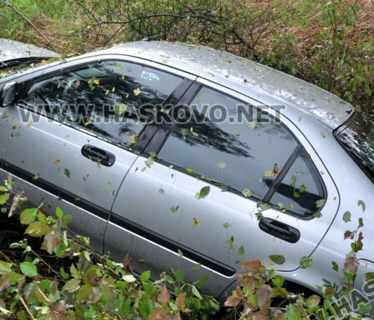 снимка:архив