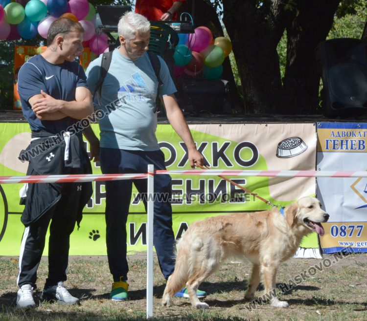 Деца и четириногите им  любимци се забавляваха на „Кенана“