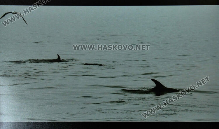 Фотографската изложба "Сага за огън и лед" откри "Арткрафт фест"