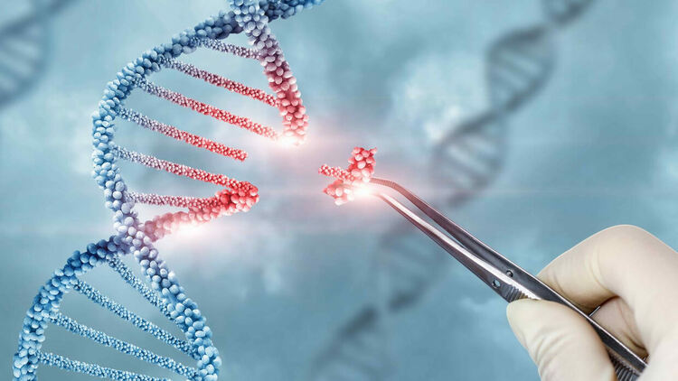 Китай е създал инструмент за редактиране на гени, който не използва CRISPR