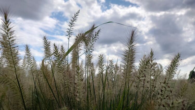 Слънчево и горещо до 35 градуса днес