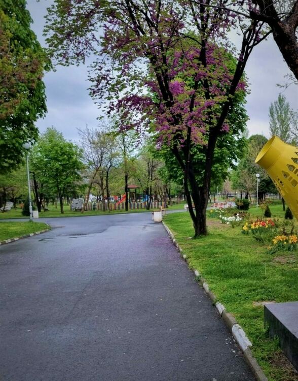 Да изчистим Асеновград заедно 