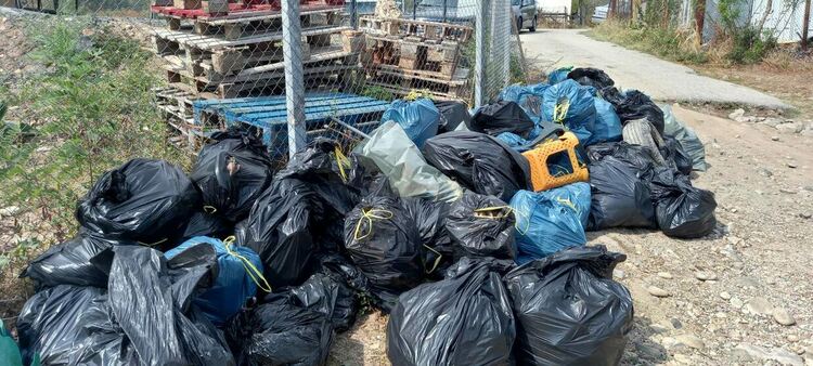 Служителите от Областна администрация-Кърджали се включиха в кампанията "Да изчистим България заедно"