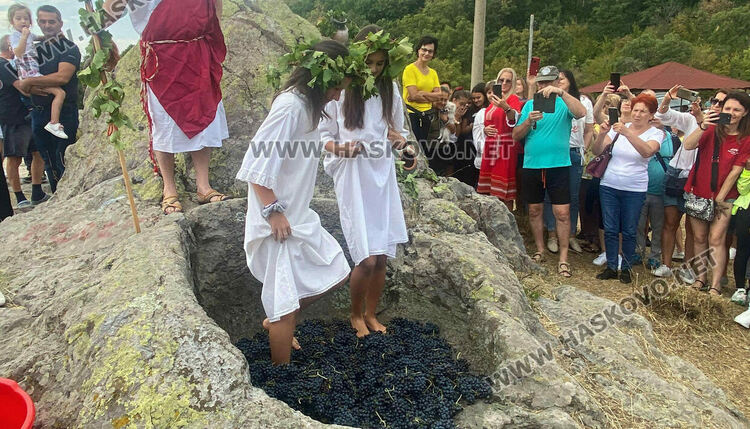 Пресъздадоха ритуала по мачкане на грозде в местността „Шарапаните“ 