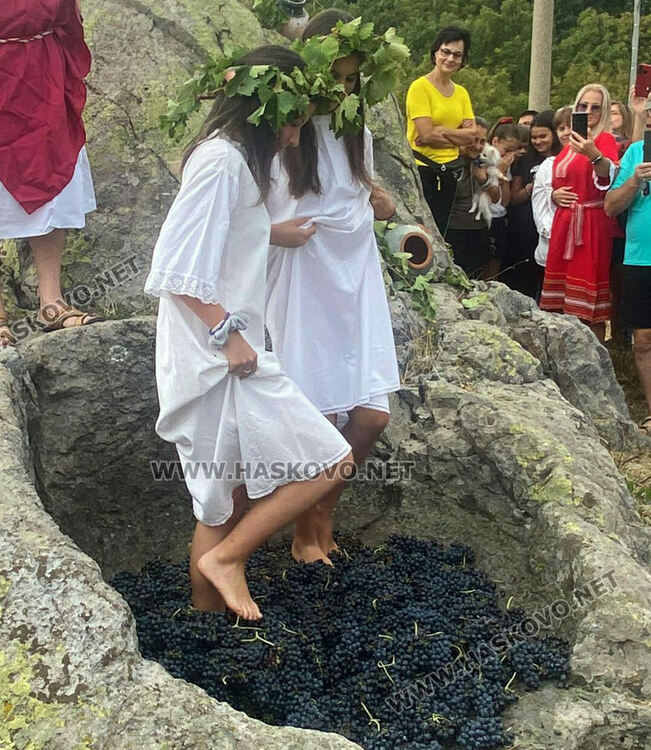 Пресъздадоха ритуала по мачкане на грозде в местността „Шарапаните“ 