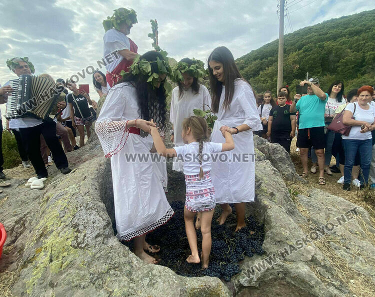 Пресъздадоха ритуала по мачкане на грозде в местността „Шарапаните“ 