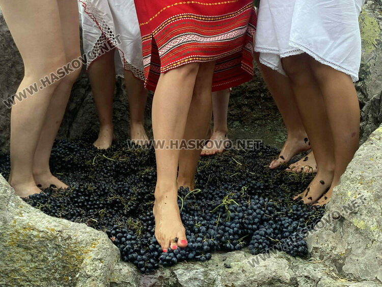 Пресъздадоха ритуала по мачкане на грозде в местността „Шарапаните“ 