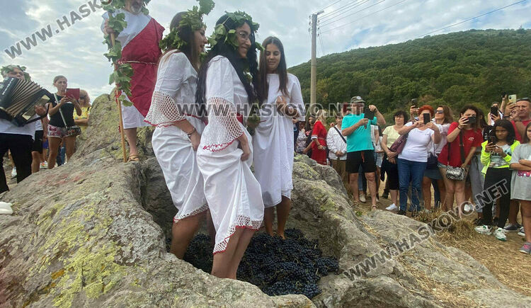Пресъздадоха ритуала по мачкане на грозде в местността „Шарапаните“ 