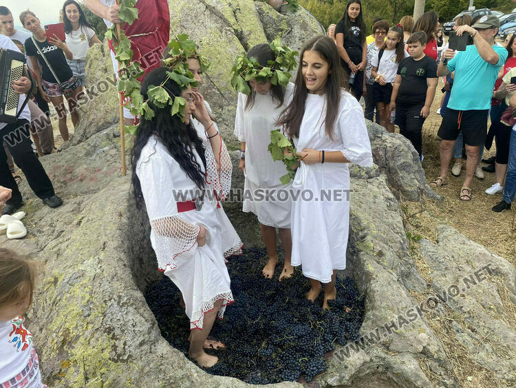 Пресъздадоха ритуала по мачкане на грозде в местността „Шарапаните“ 