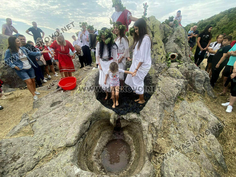 Пресъздадоха ритуала по мачкане на грозде в местността „Шарапаните“ 