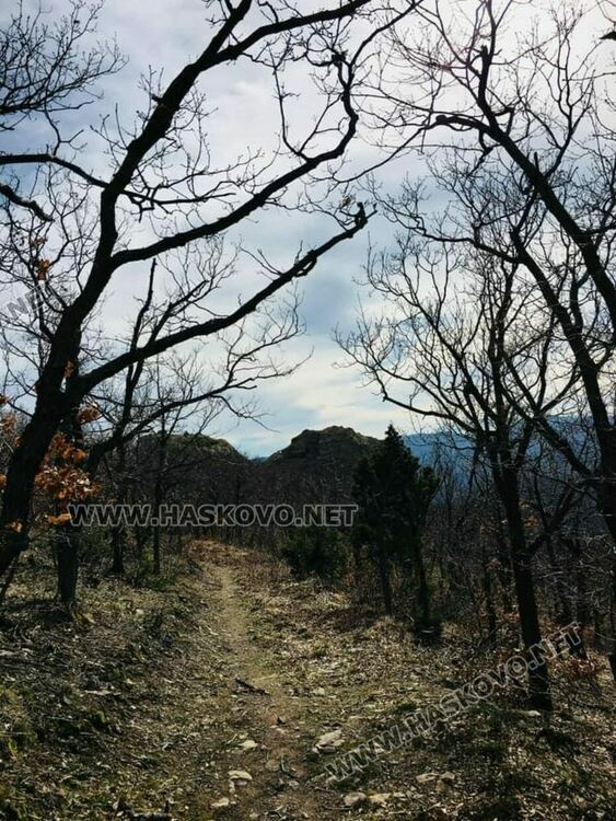 Предложение за туристическа разходка из забележителностите край Сърница