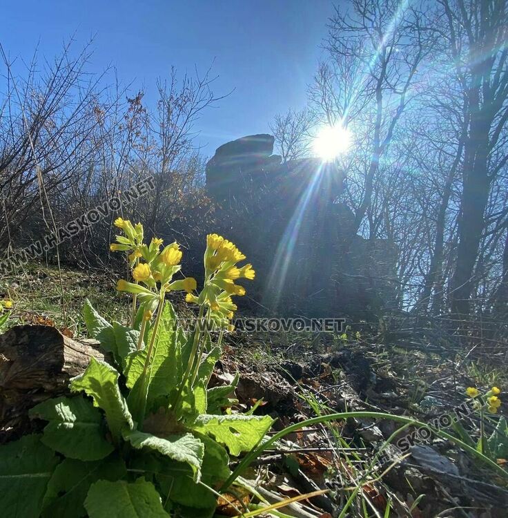 Предложение за туристическа разходка из забележителностите край Сърница