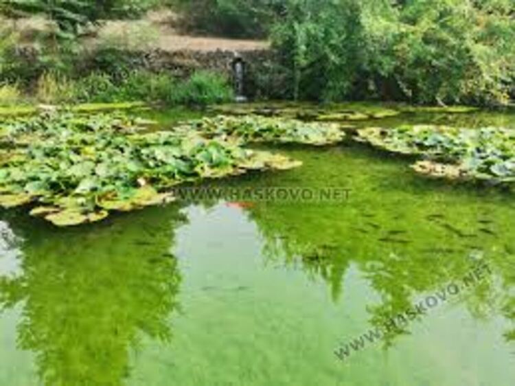 Слънце, облаци и слаб дъжд в неделя