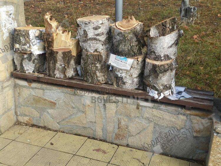 Кощунство в Кърджали! Нарязаха брезичка заедно с некролозите в двора на църквата за ужас на отец Петър
